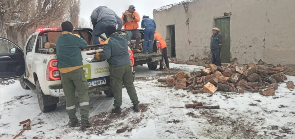 Brigadistas del Splif colaboran con pobladores de zonas rurales