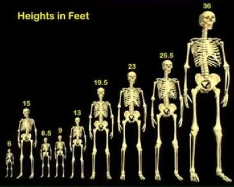 ¿Existieron los humanos gigantes?