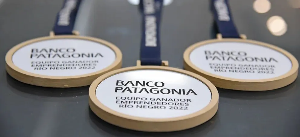 Cuáles son los 30 proyectos seleccionados en el programa Emprendedores Río Negro