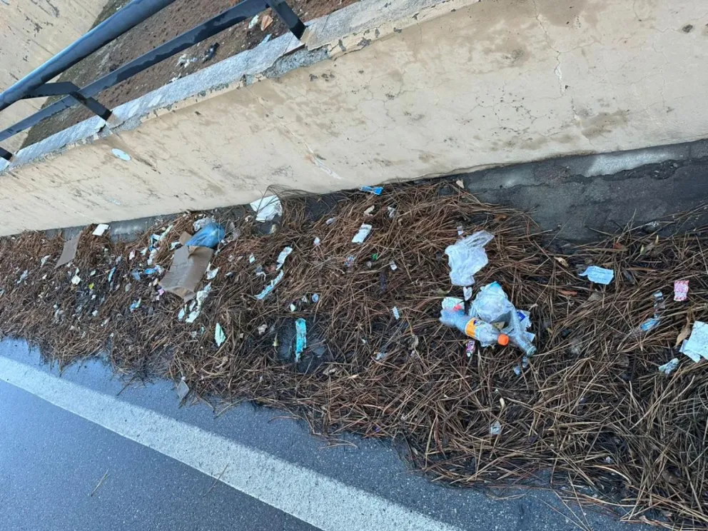Denuncian la creación de un microbasural en los alrededores del Aeropuerto de Bariloche