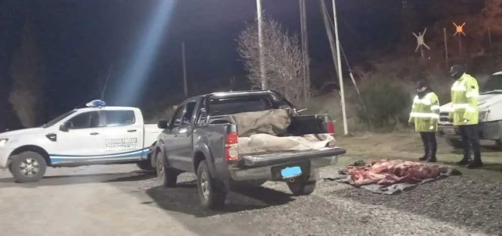 Transportaban un ternero faenado ilegalmente y fueron detenidos