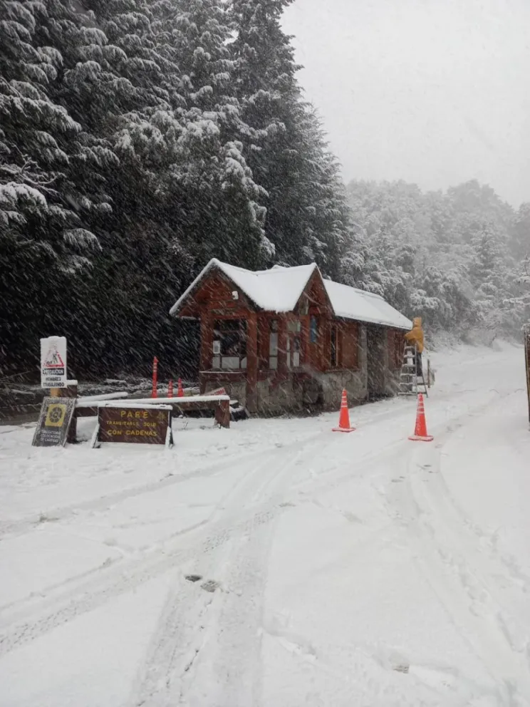 Debido a la nevada, los caminos del Parque solo se encuentran transitables para 4x4