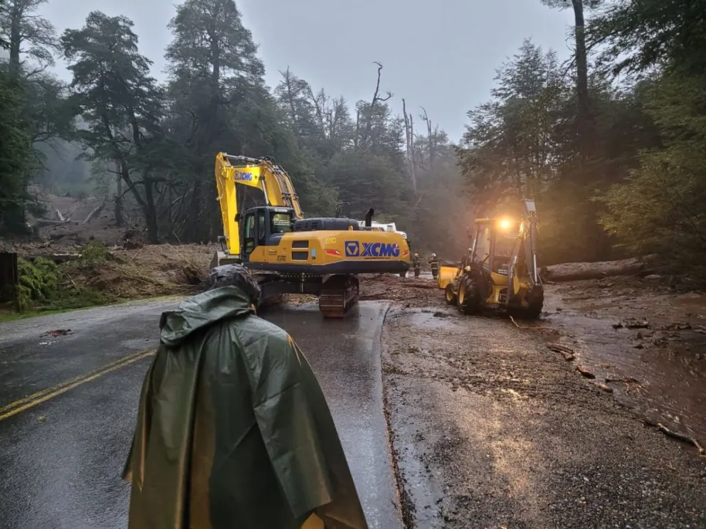 Árboles caídos, desborde de arroyos y extrema precaución para transitar