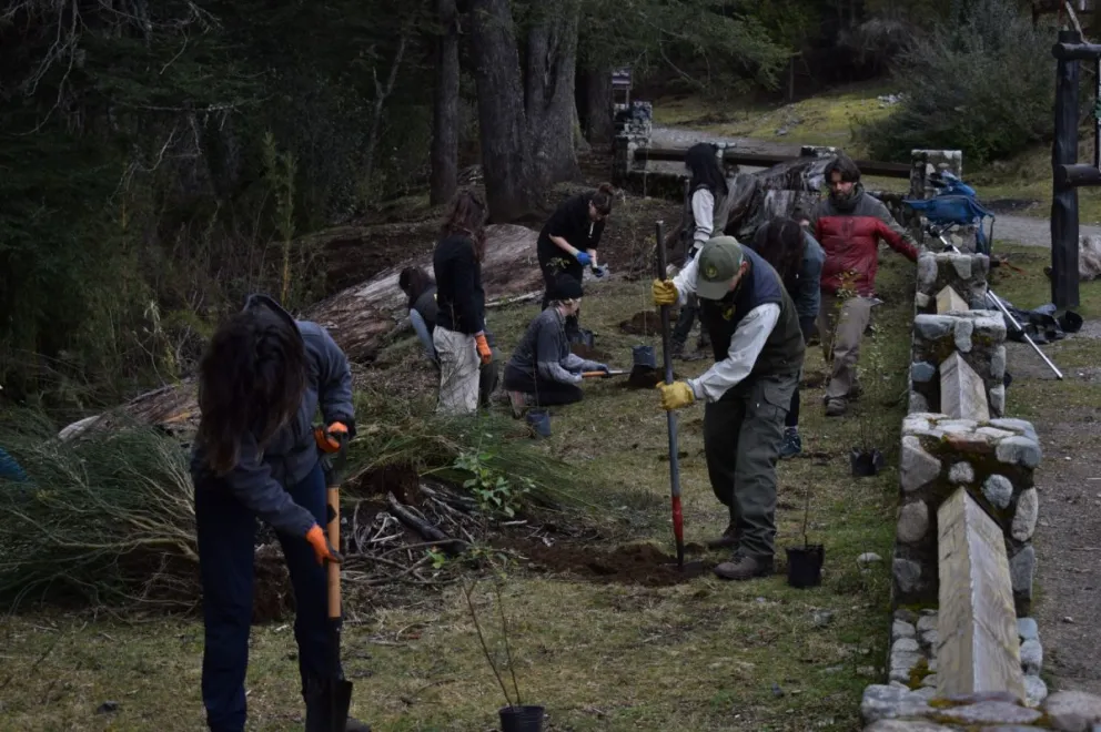 Realizaron una jornada de extracción de especies exóticas invasoras