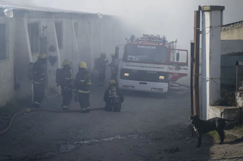 Un voraz incendio se desató en el predio de la Delegación Sur del municipio