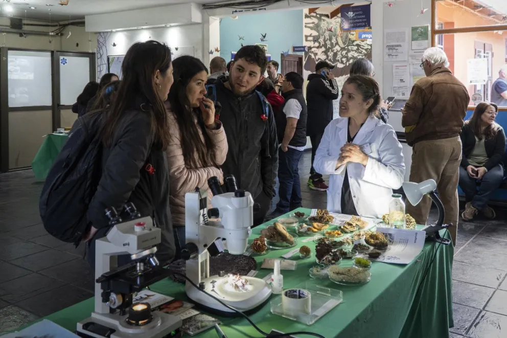 Jóvenes de Bariloche y la región coparon la muestra de carreras