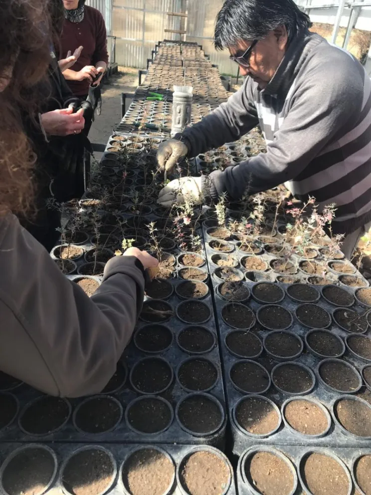 Impulsan un proyecto ecológico con la venta de plantas y entrega de semillas