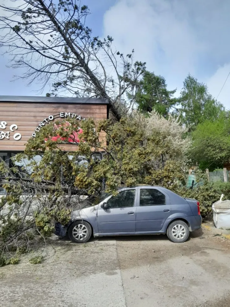 Las fuertes ráfagas de viento traen complicaciones a la ciudad
