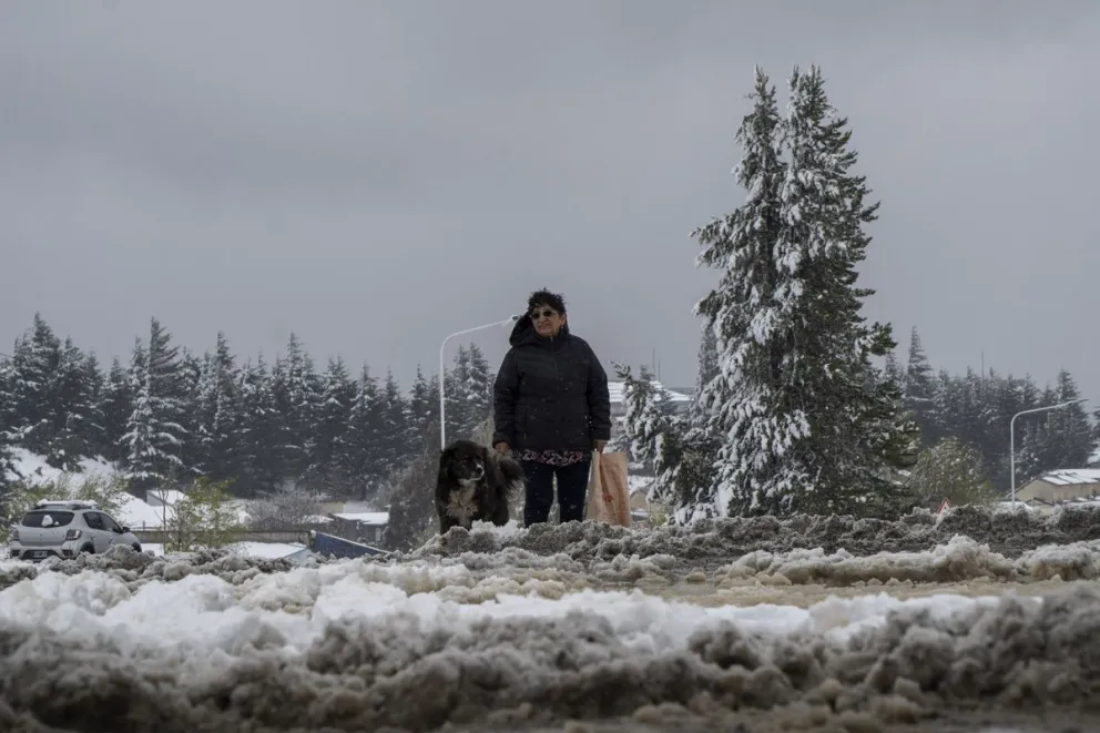 En plena primavera, "la nevada de los tontos" llegó a Bariloche