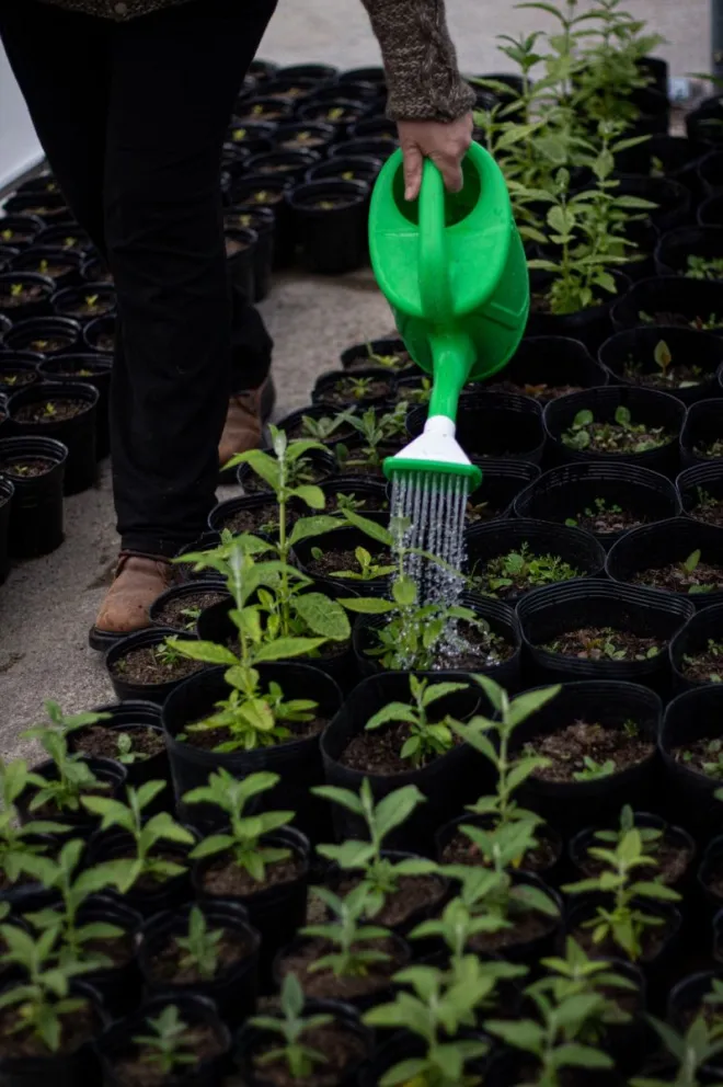 En una jornada de impacto trabajaron por la preservación del ambiente 