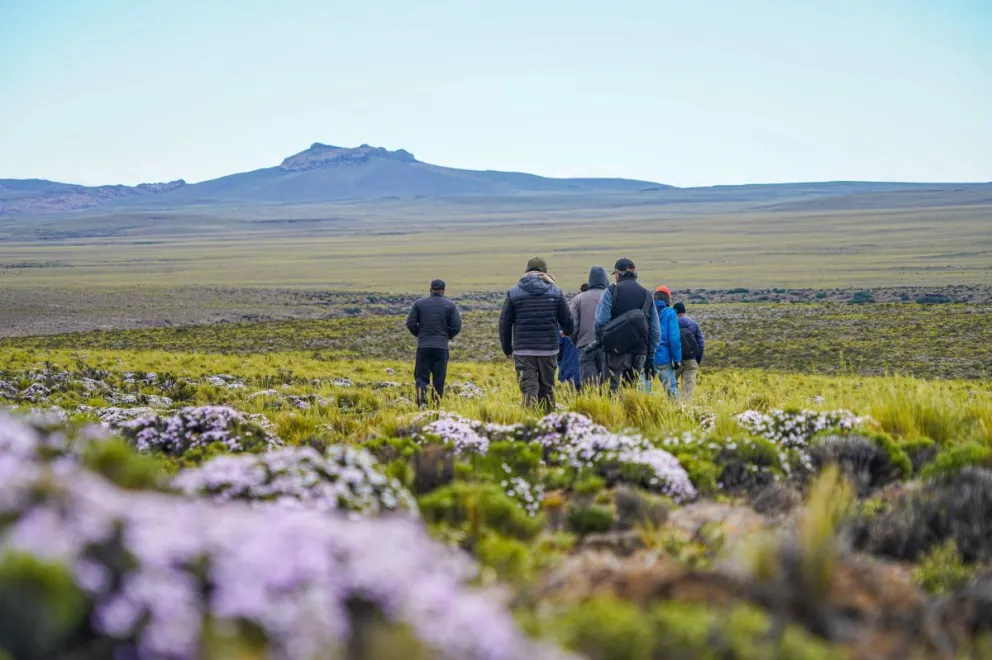 La estepa rionegrina, un paisaje entero para descubrir y disfrutar