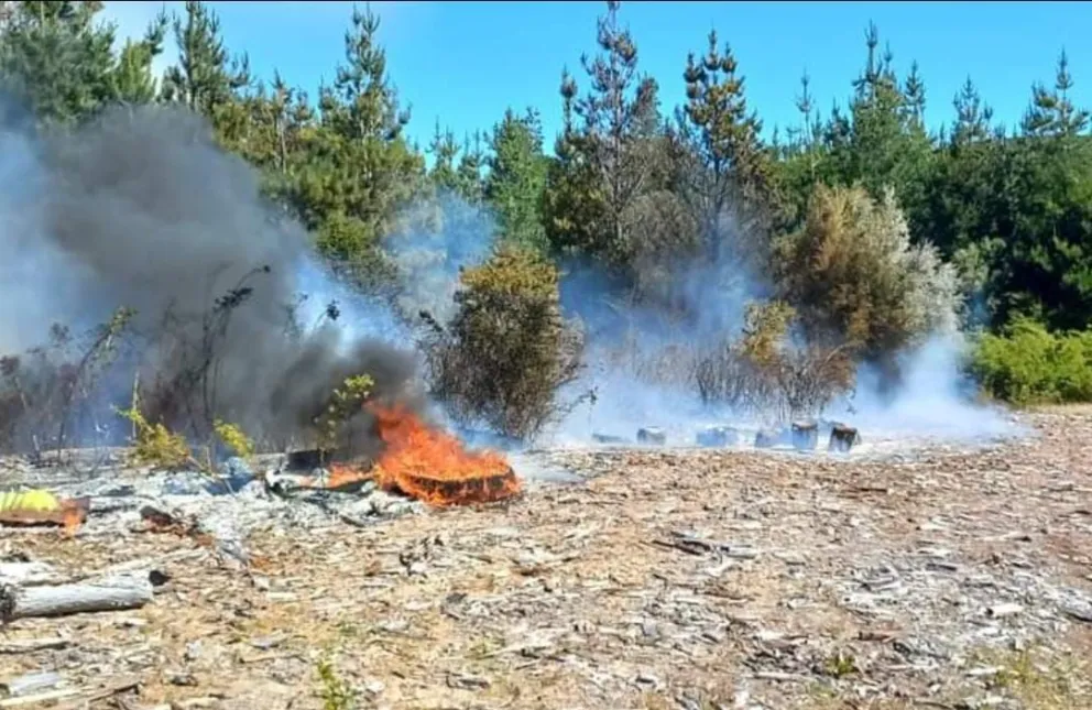 Un incendio en Epuyén mantiene alerta a brigadistas