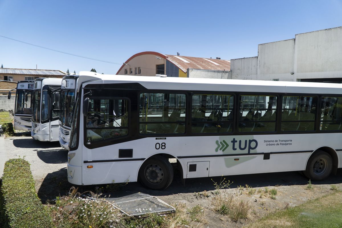 El municipio autorizó a Mi Bus un aumento: viajar en colectivo costará $980