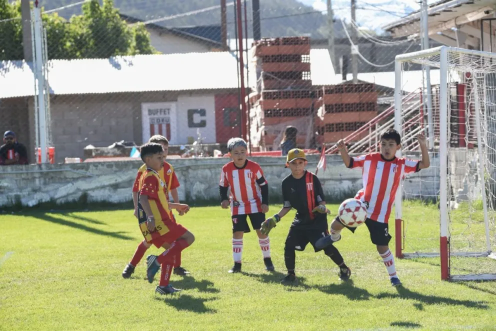 El Mundialito Infantil pone primera en el "Bruno Tarrini"