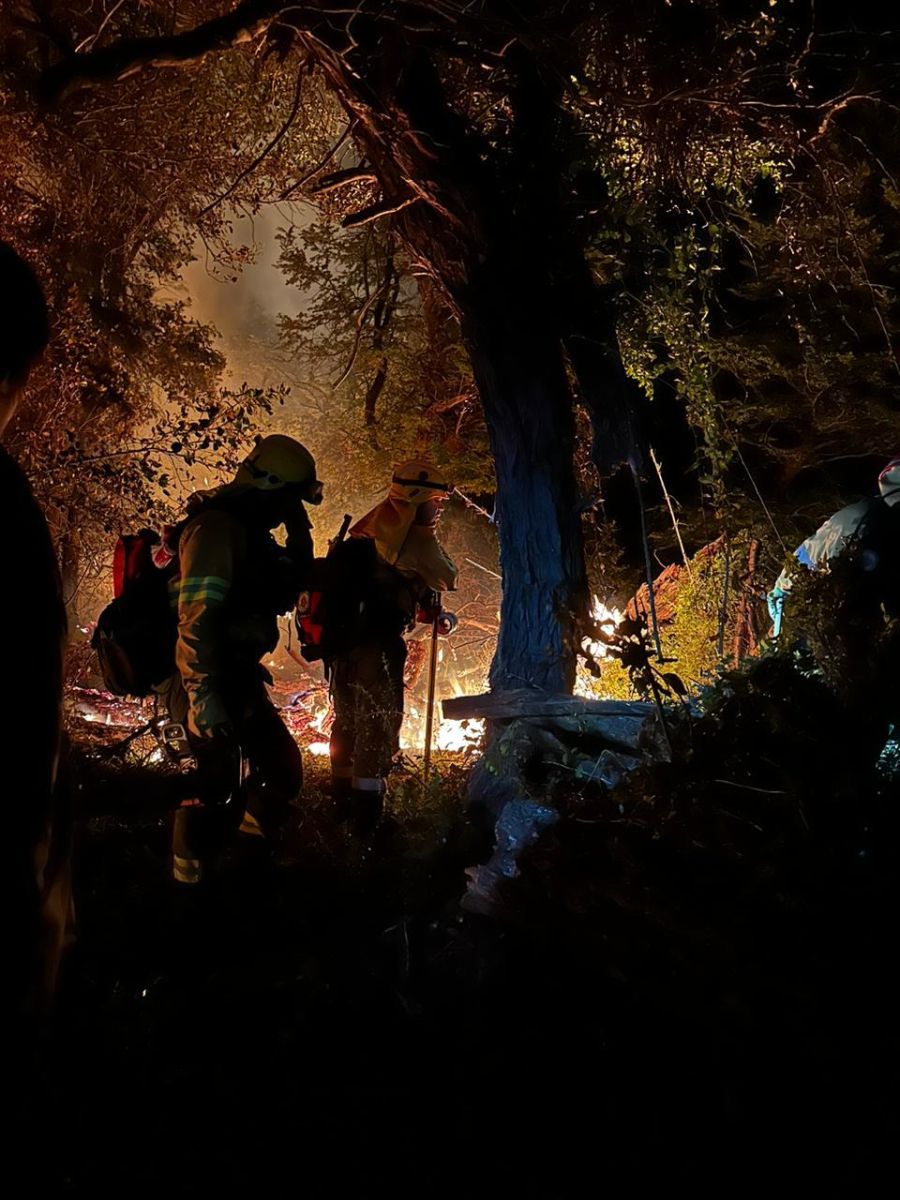 El incendio en el Parque Nacional Los Alerces estaría fuera de control