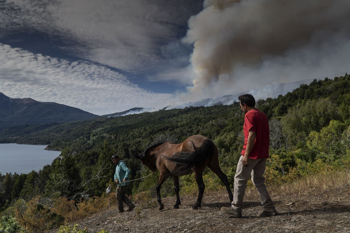 El fuego ya arrasó con 2500 hectáreas del Parque Nacional Los Alerces