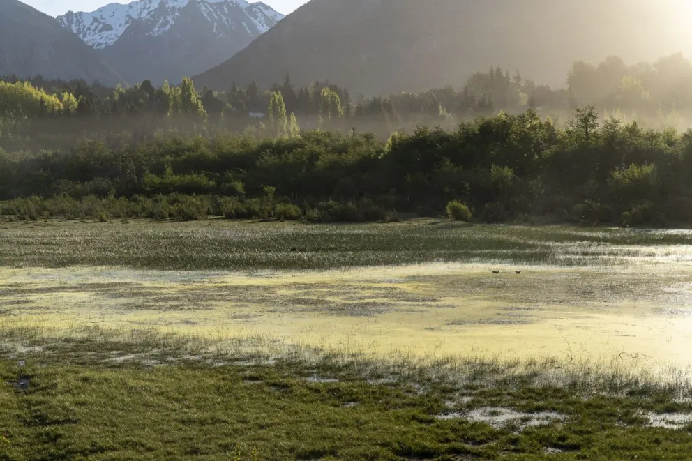 Los humedales bajo la sombra del desarrollo urbano