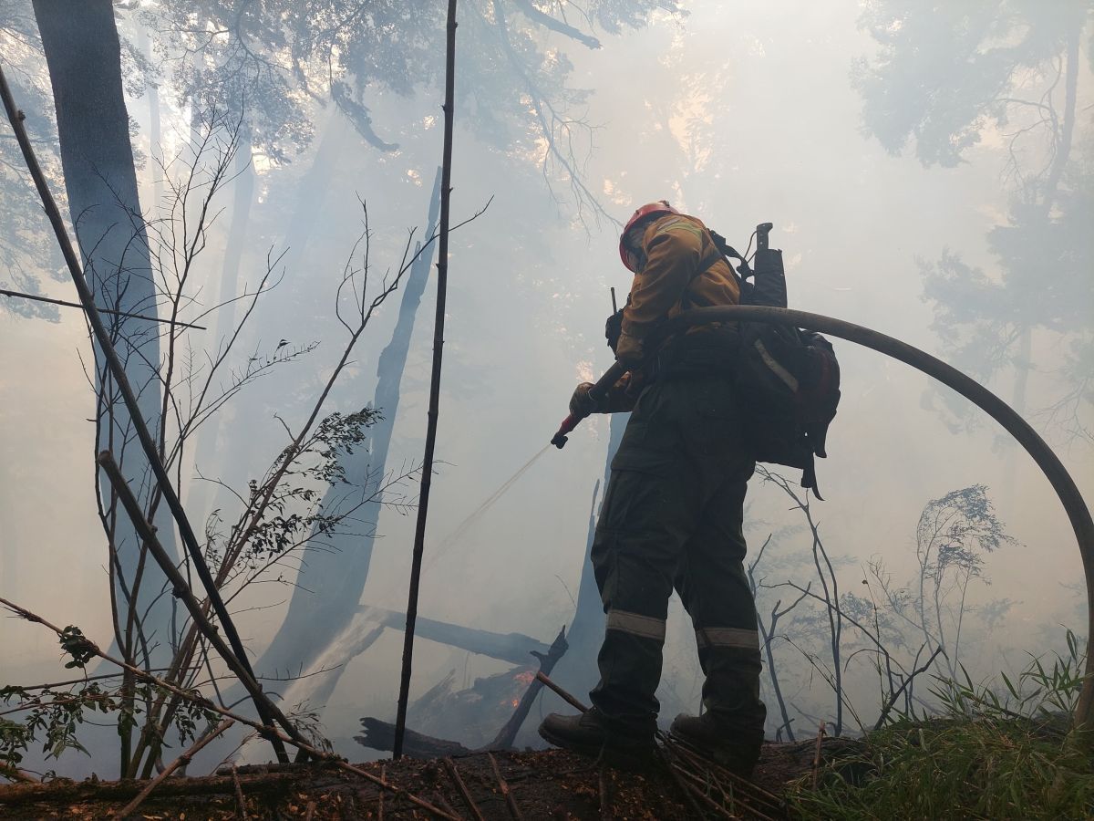 Trabajadores de Parques postergan una medida de fuerza por el incendio 