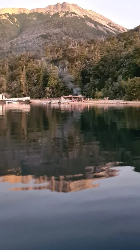 Los bosques pagan el caso omiso a las prohibiciones 