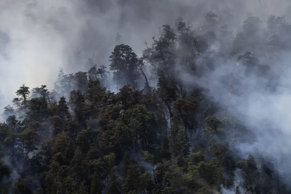 Cómo funciona el software de incendios que usaron brigadistas en Bariloche
