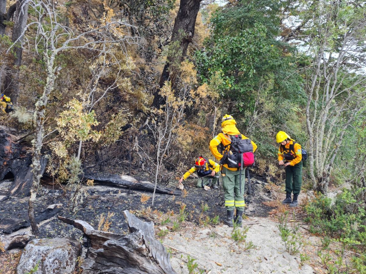 Comenzaron las investigaciones para detectar las causas del incendio en Brazo Tristeza