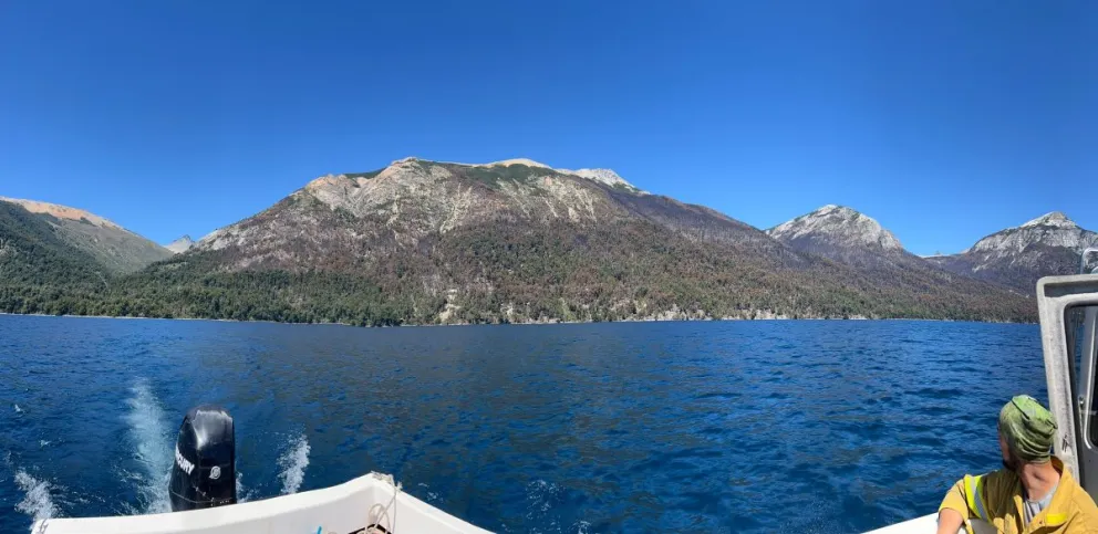 ¿Cómo continúa el operativo en el incendio del Brazo Tristeza?