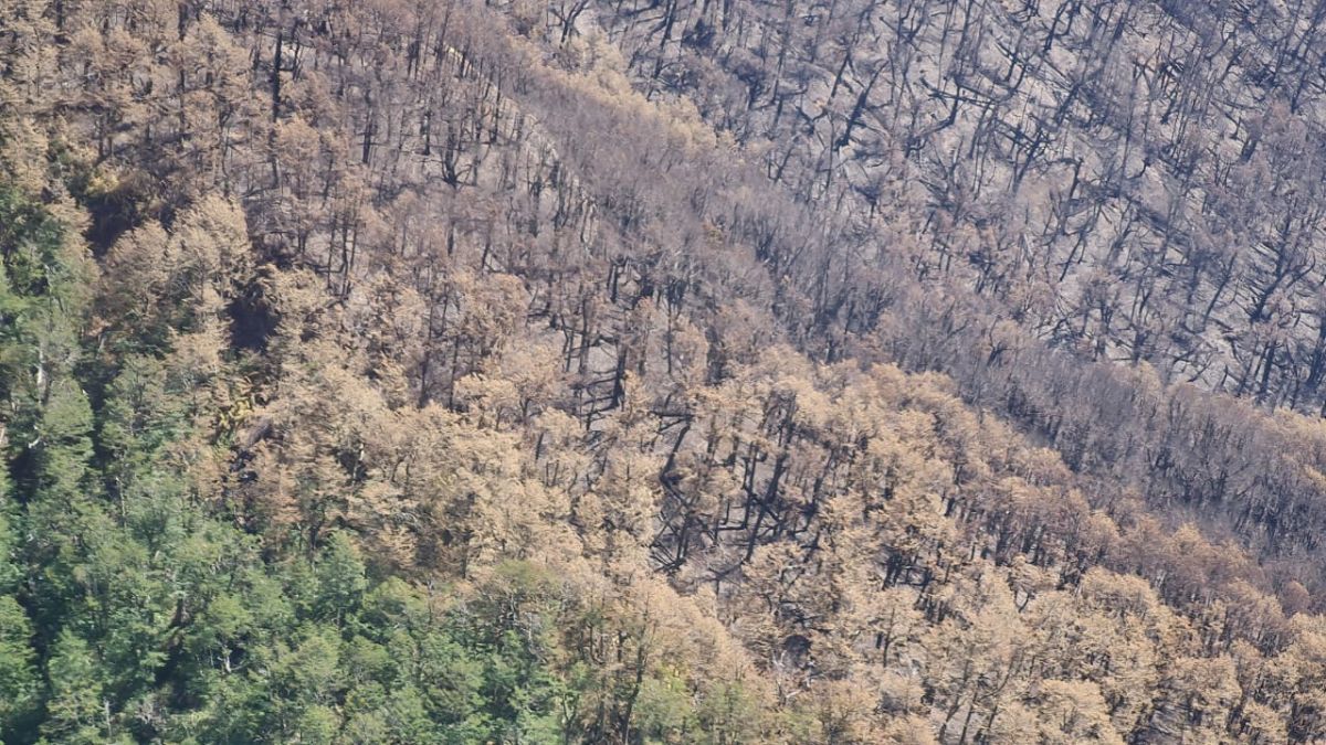 Ya son 635 las hectáreas afectadas por el incendio en el Parque Nacional Nahuel Huapi