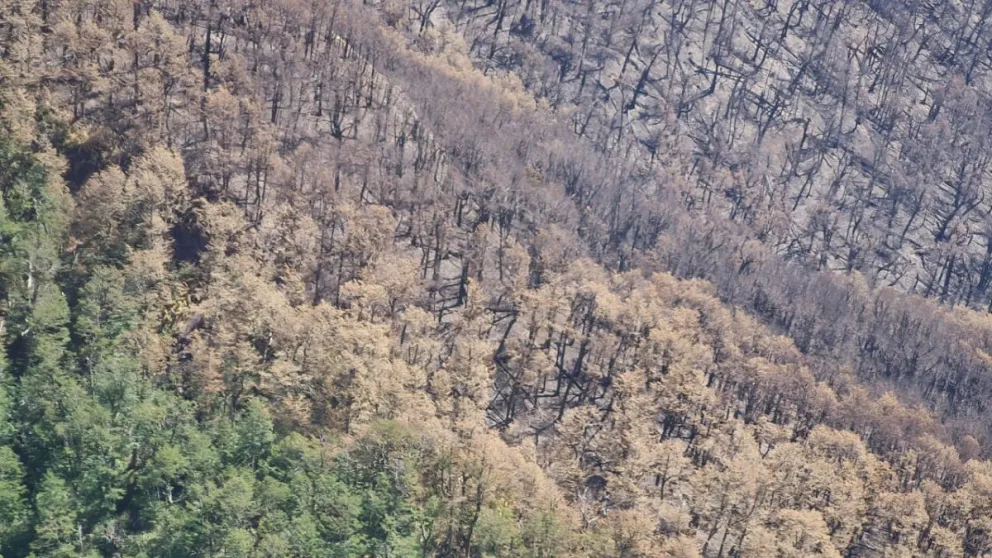 Ya son 635 las hectáreas afectadas por el incendio en el Parque Nacional Nahuel Huapi