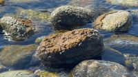 Realizaron un pedido de informes por afluentes cloacales en el lago Nahuel Huapi