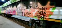 Paralizaron el servicio del Tren Patagónico por actos de vandalismo