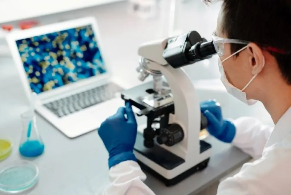 “El proceso del cuerpo después  de la muerte”