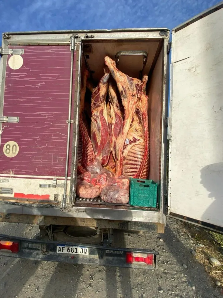 Decomisaron más de 4.000 kilos de carne vacuna que se transportaba sin documentación 