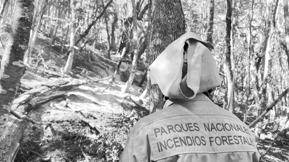 El incendio en el Brazo Tristeza está próximo a extinguirse