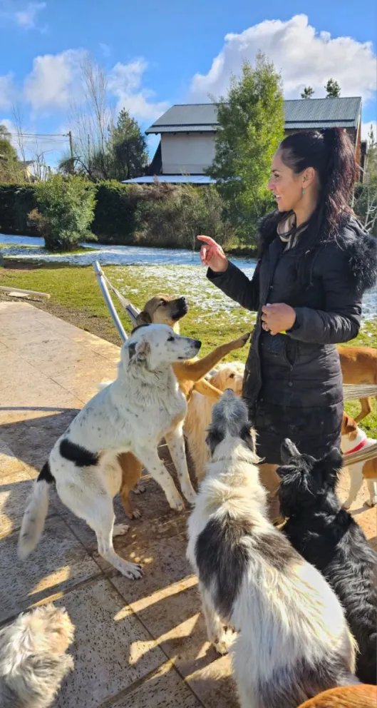 Campaña de donaciones por 48 horas para ayudar a animales rescatados