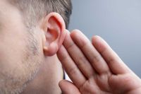 La oreja, la gran desconocida en la identificación personal
