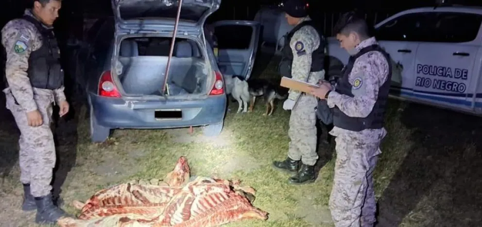 Secuestraron un vacuno faenado que era transportado en el baúl de un vehículo
