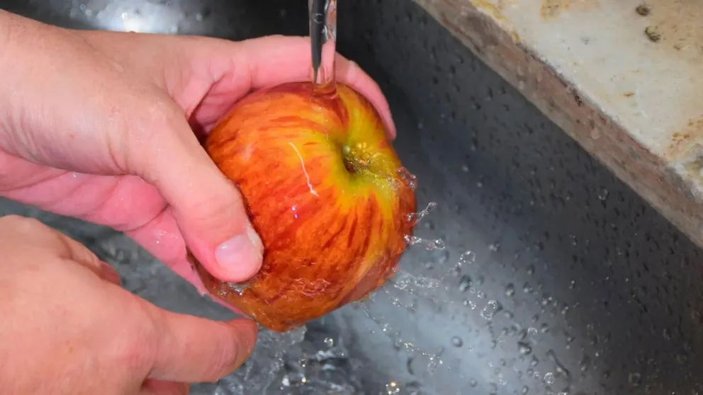 Solicitan tomar precauciones para evitar el Síndrome Urémico Hemolítico 