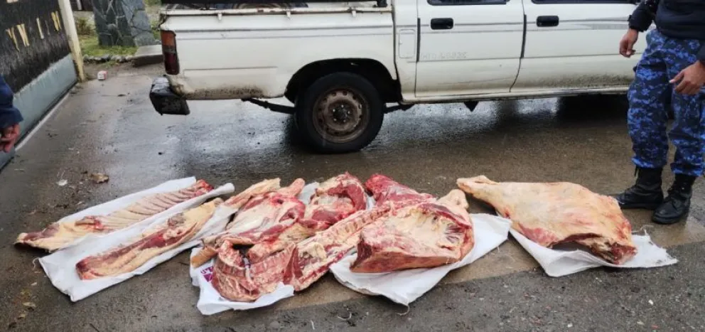 Viajaba con un ternero que había sido faenado clandestinamente  