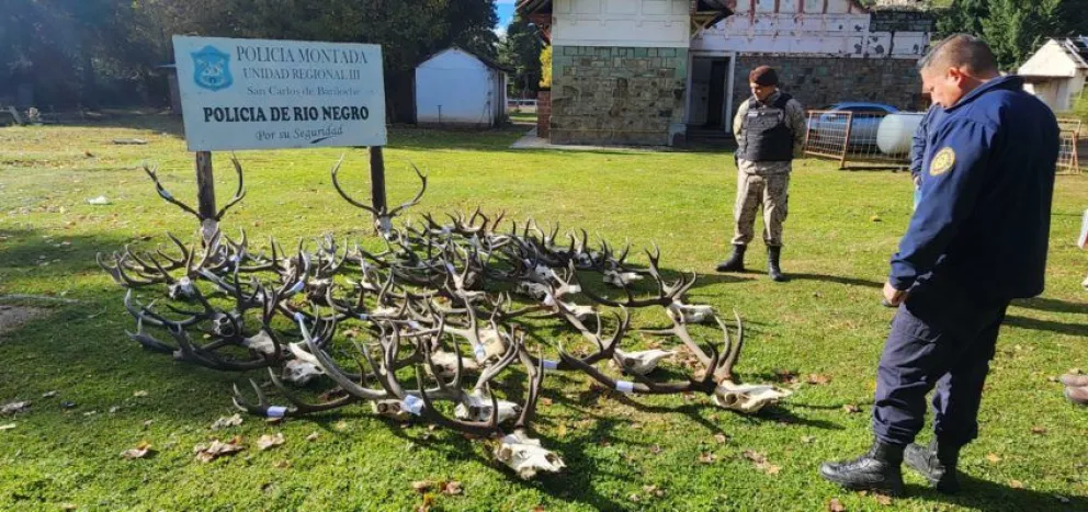Desbarataron una banda que se dedicaba a la caza de animales con permisos falsos
