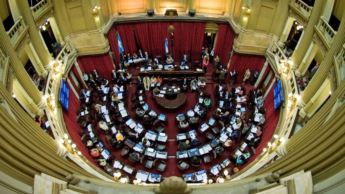 Ingresó la Ley Bases al Senado ¿Cómo votarán los representantes de Rio Negro?