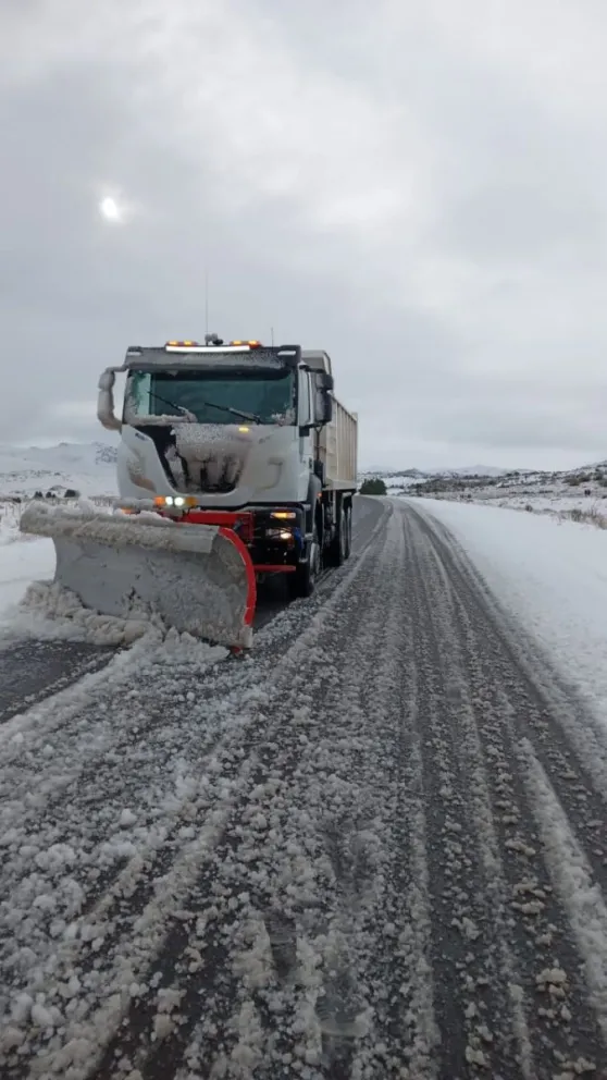 Detalle del estado de las rutas nacionales de la región sur y cordillerana