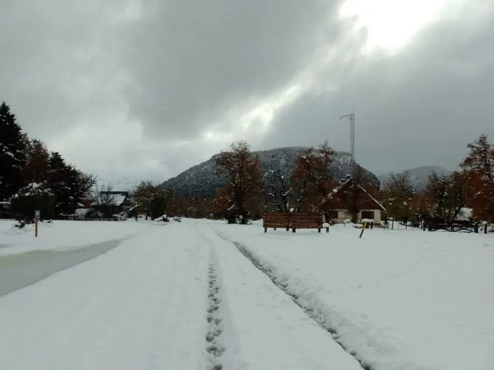 Cuál es el estado de los caminos del Parque Nacional tras la nevada