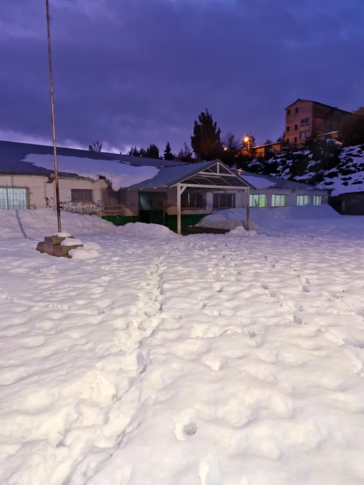 Lizaso: “Era innecesario que los docentes asistan a las escuelas en estas condiciones”