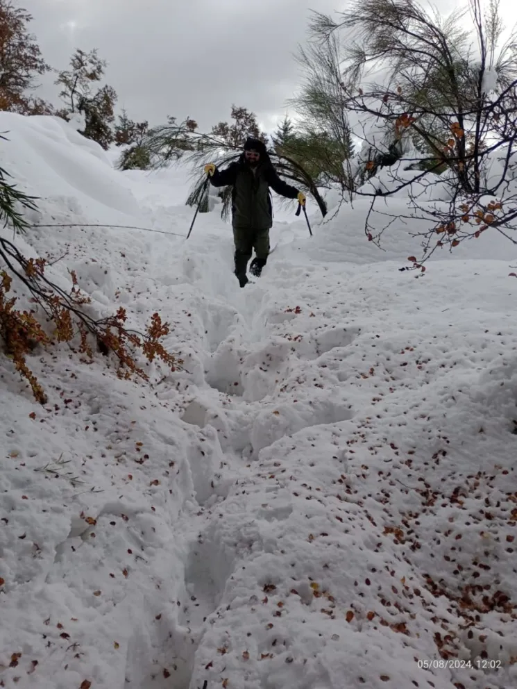 Actualización del estado de caminos y senderos del Parque Nahuel Huapi