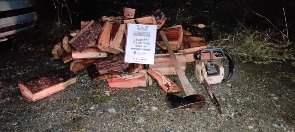 Detectaron productos forestales transportados sin guía ni permisos