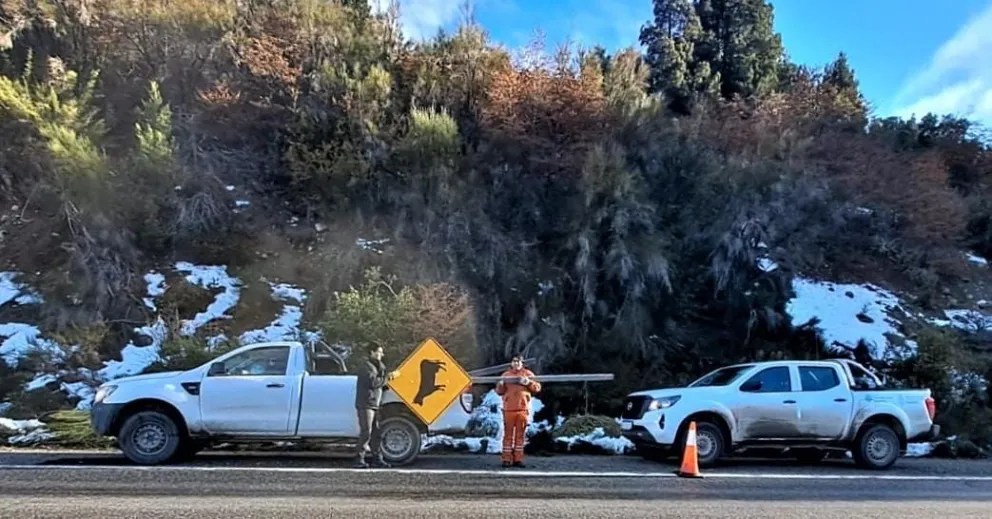 Trabajan en la colocación de cartelería preventiva en la Ruta Nacional 40