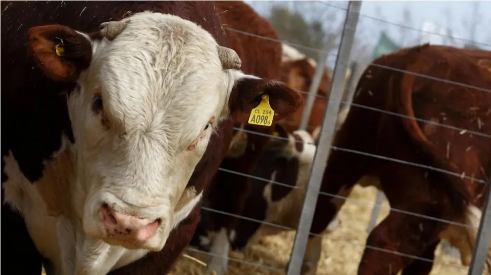 Lutz: “El Gobierno entero está defendiendo a los productores rionegrinos”