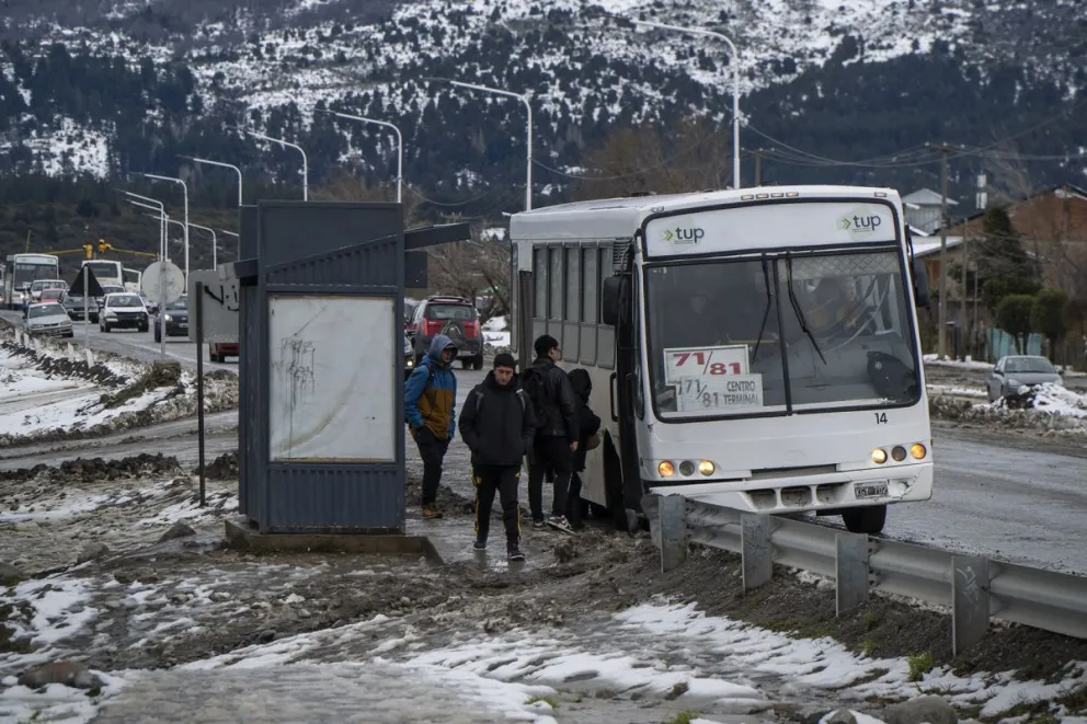 La empresa intentó negar la participación del colectivo en el choque, pero finalmente, el fallo ordenó el pago de una millonaria suma. Foto: ilustrativa Marcelo Martínez. 