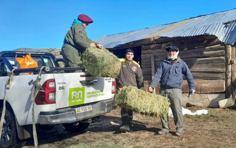 Brigadistas del Splif recorren parajes rurales para acercar ayuda a los pobladores