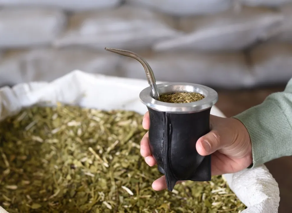 Hasta marzo, el Instituto de Yerba Mate fijaba los precios de referencia. Foto: ilustrativa.